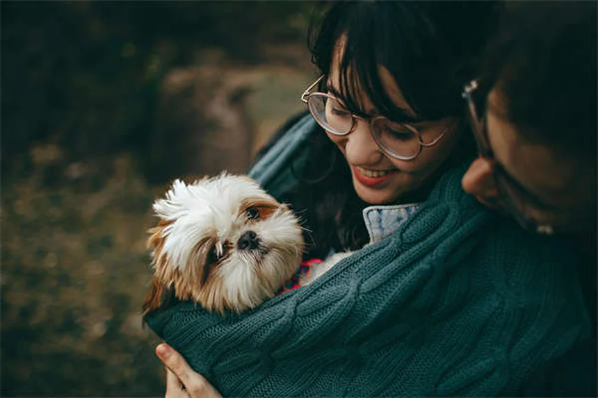 犬の膝の怪我を予防・治療する7つの方法｜愛犬の関節を守る完全ガイド