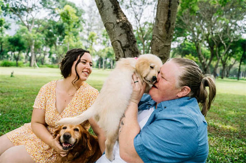 糖尿病の犬猫の血糖値管理：インスリン治療で知っておきたい5つのポイント